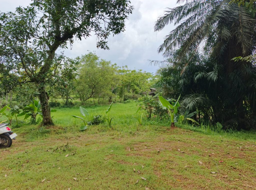 Lahan Strategis untuk Kavling Perumahan di Citayam