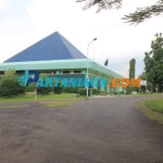 TIFICO - Partaniaga (8)