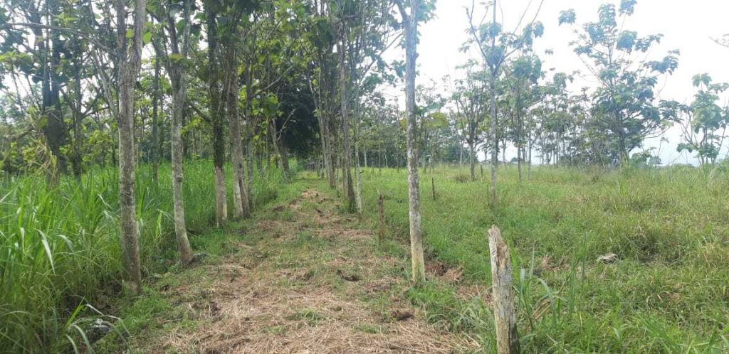 Lahan Strategis Balandongan kec Caringin kab Bogor